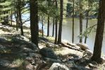 PICTURES/Woods Canyon Lake/t_Lake and Pines.JPG